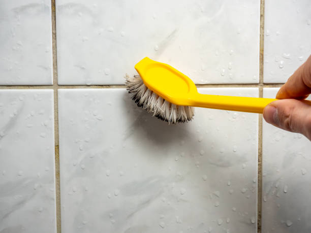 Best Commercial Mold Remediation in Kingsford, MI