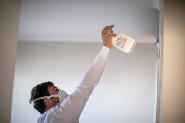 Best Residential Mold Remediation in Kingsford, MI