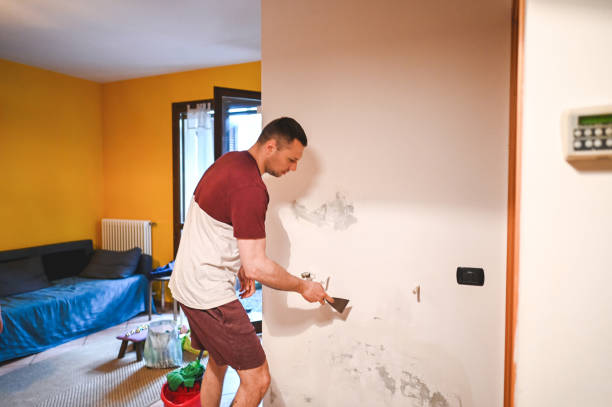 Best HVAC Mold Remediation in Kingsford, MI