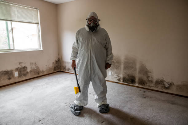 Best Bathroom Mold Remediation in Kingsford, MI
